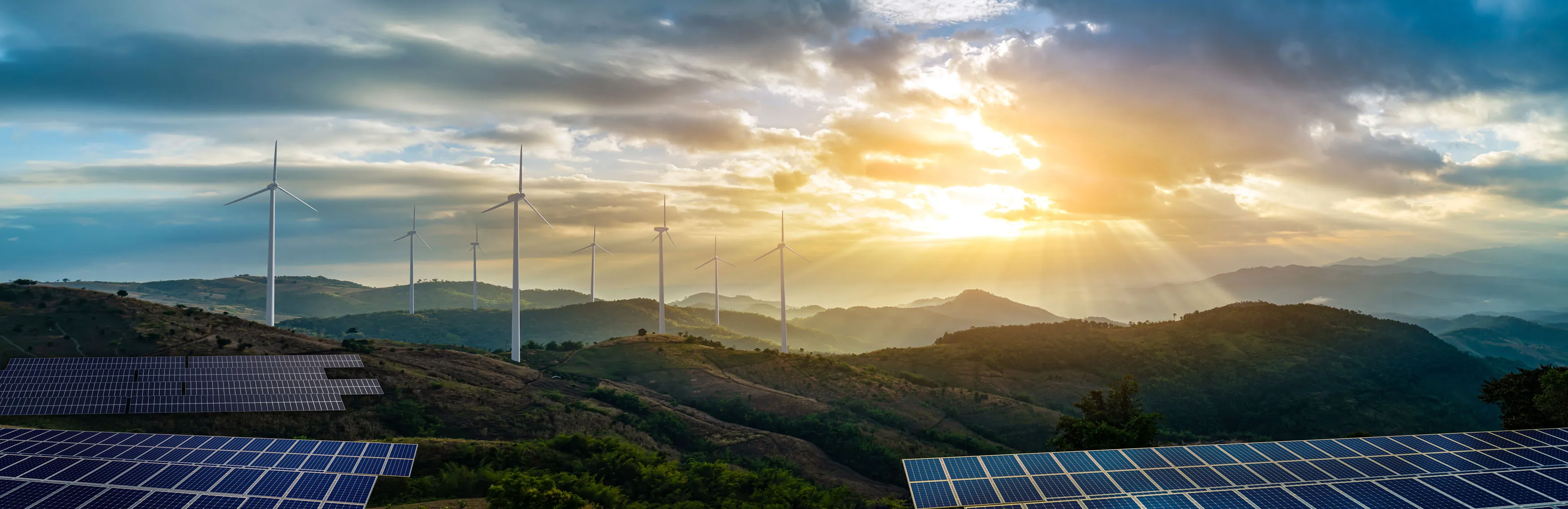 Ducab solutions for wind and solar renewable energy projects